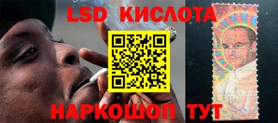 дмт Камышлов
