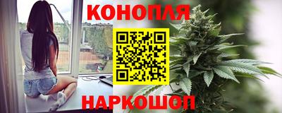 дмт Камышлов