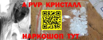 дмт Камышлов