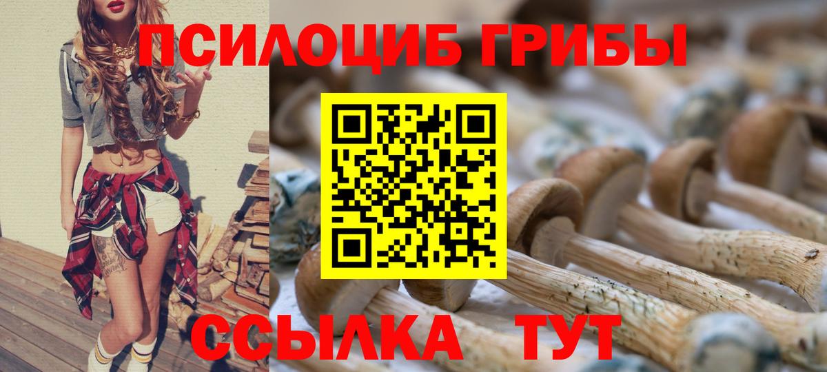 Псилоцибиновые грибы Psilocybe  Вход с VPN  где продают наркотики  Лангепас 