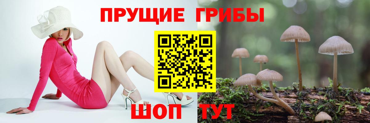 Псилоцибиновые грибы прущие грибы Лангепас
